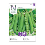 Frö Spritärt Nelson Garden Meteor Låg