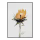 Poster Gallerix Yellow Sunflower