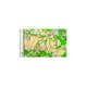 TOPO Garmin Topografiska Kartor Europa
