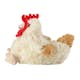 Värmedjur Warmies Kyckling