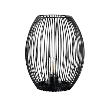 Lanterna Leonardo Casolare