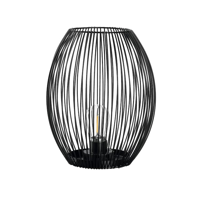 Lanterna Leonardo Casolare