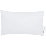 Innerkudde Svanefors Fjäder