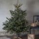 Julgransfot Star Trading Granig 080-72