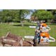 Motorsåg STIHL MS 231
