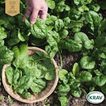 Fröpåse Eco Grow Spenat Matador