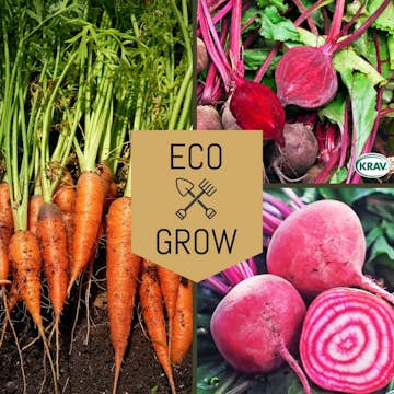 Grönsaksfröer Eco Grow Rotfruktskit Favoriter för Odling