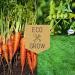 Grönsaksfröer Eco Grow Svenska Klassiker Kit