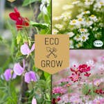 Blomfröer Eco Grow Doftande Trädgårdsblommor Kit
