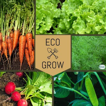 Blomfröer Eco Grow Startkit Trädgårdsfavoriter 5-pack för Odling