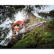 Motorsåg STIHL MS 500i W