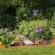 Rabattkant Skotte Garden Unik 21,5 cm 4-pack