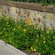 Rabattblomma Omnia Garden Prakthypericum