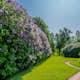 Buske Omnia Garden Syrén 20-40cm Krukodlade
