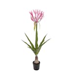 Konstväxt Mr Plant Nerine 125