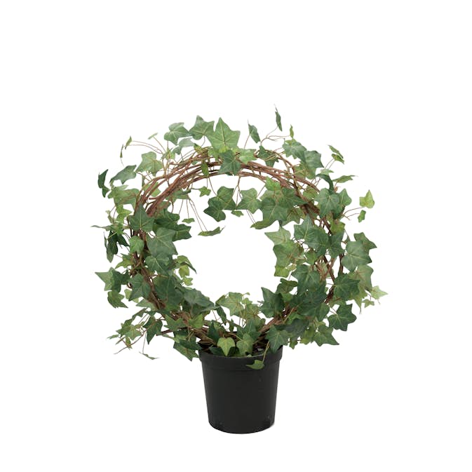 Konstväxt Mr Plant Murgröna 70