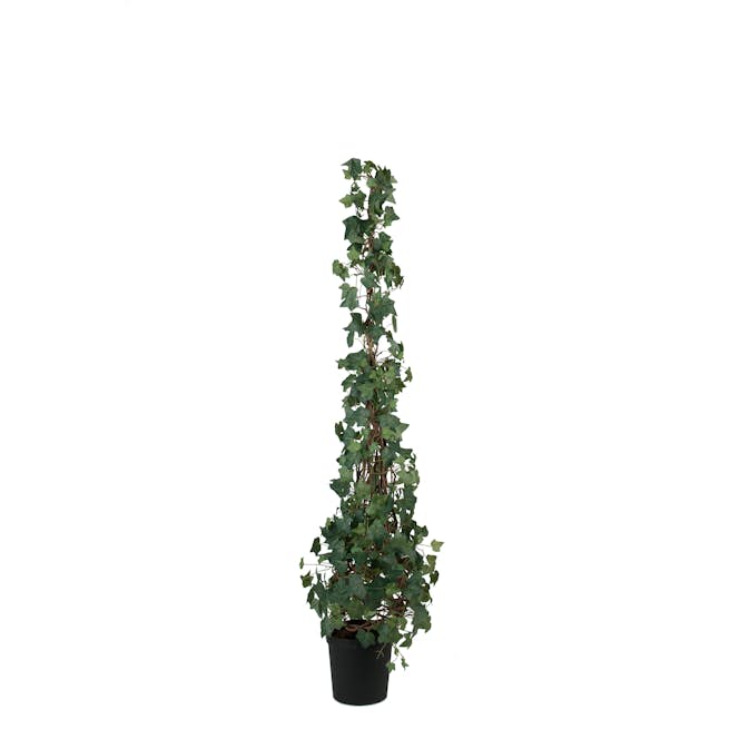Konstväxt Mr Plant Murgröna 150-180