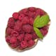 Hallon Omnia Garden Rubus Autumn Bliss E