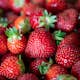 Jordgubbe Omnia Garden Fragaria Ananassa Polka