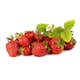 Jordgubbe Omnia Garden Fragaria Ananassa Malwina