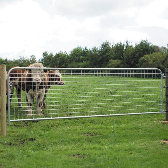 Grind Nordic Fence Farm 300x150 cm