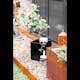 Blomlåda Skotte Garden Corten 80x40x40 cm, Växtlåda, Utomhuskruka