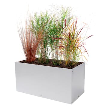 Ytterkruka Skotte Garden