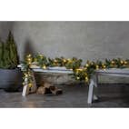 Girlang Star Trading Ottawa