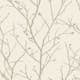Tapet Graham & Brown Boutique Kvist Glanseffekt Creme 104756