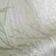 Tapet Graham & Brown Boutique Kvist Glanseffekt Creme 104756