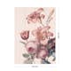 Fototapet Art For The Home Soft Blush Blomma 105401