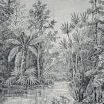 Fototapet Art For The Home Djungel 105411