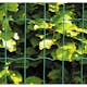 Stängsel Hortus Grönt 20x1,2 m Med Maskor 10x5 cm