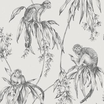 Tapet Superfresco Easy Saimiri Antrazit Apa