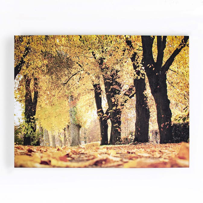 Canvastavlor Art for the Home Höst 100x75 cm