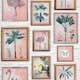 Tapet Fresco Tropical Frame