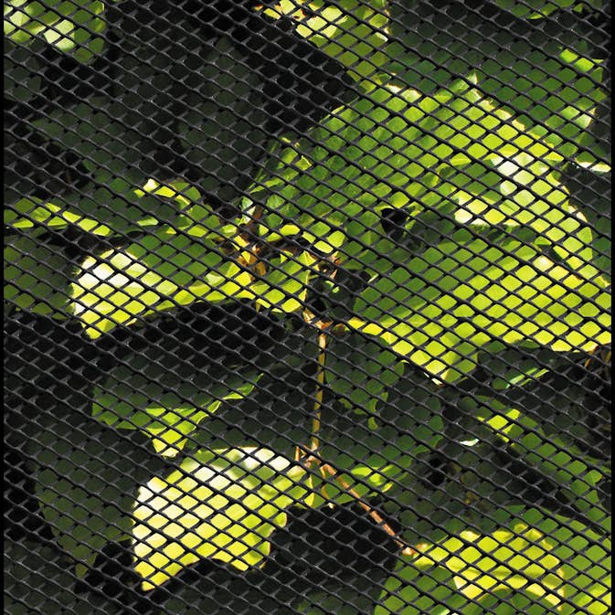 Insektsnät Hortus Plast