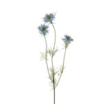 Konstväxt Fröken Fräken Nigella Blå