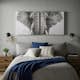 Tavla Art For The Home Majestic Elefant Set