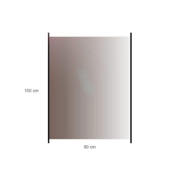 Glasstaket Hortus med Aluminiumskena Rökfärgat 80x100