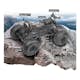 Radiostyrd Bil HPI Racing Crawler King Ford F150 SV Raptor 4WD