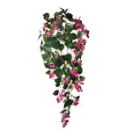 Konstväxt Fröken Fräken Bougainvillea Rosa Hängande