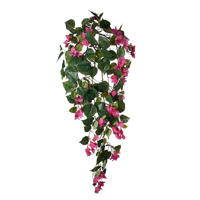 Konstväxt Fröken Fräken Bougainvillea Rosa Hängande
