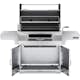 Kolgrill Napoleon PRO605