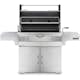 Kolgrill Napoleon PRO605
