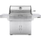 Kolgrill Napoleon PRO605