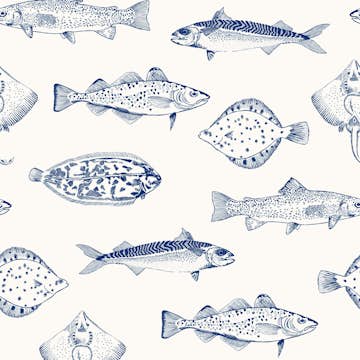 Tapet Joules Coast Blue