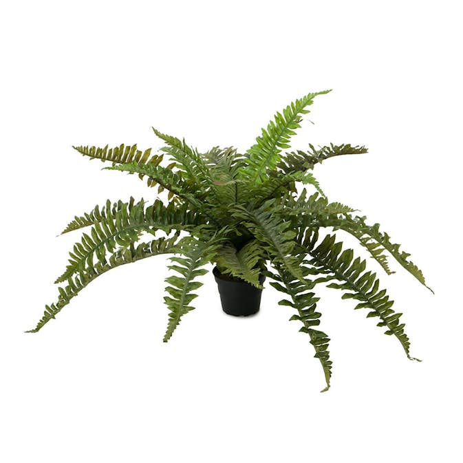 Konstväxt Fröken Fräken Ormbunke 35 cm Grön