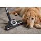 Dammsugare Miele Compact C2 Cat&Dog