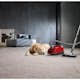 Dammsugare Miele Compact C2 Cat&Dog